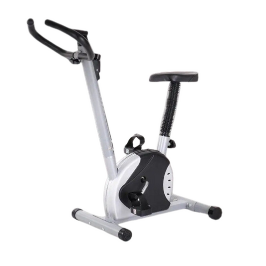 LED Display Silent Exercise Bike-0